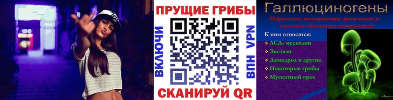 Купить закладки  Кемь  Псилоцибиновые грибы мухоморы 